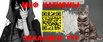 прущие грибы Анжеро-Судженск