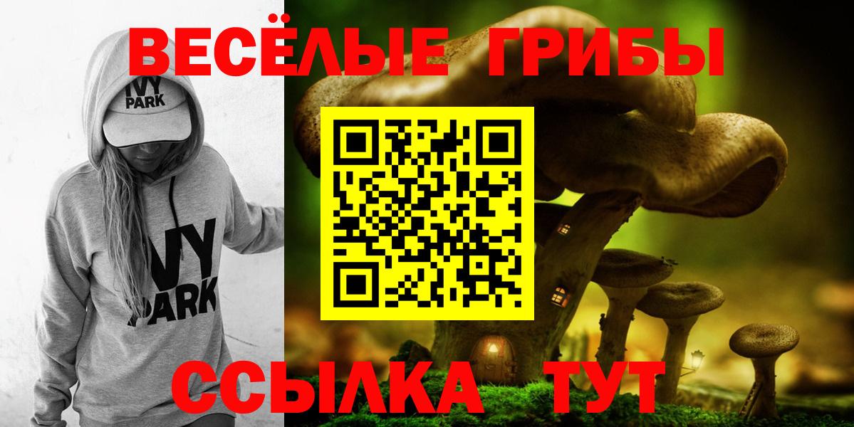 Галлюциногенные грибы GOLDEN TEACHER Большой Камень